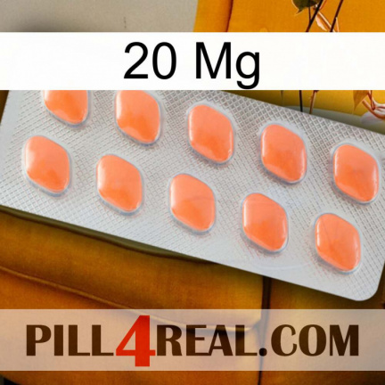 20 Mg 26